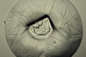 Photo: Research Photo