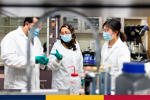 Image of graduate students engaged in research.