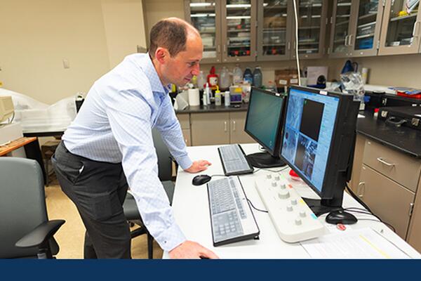Faculty member looks at a computer screen