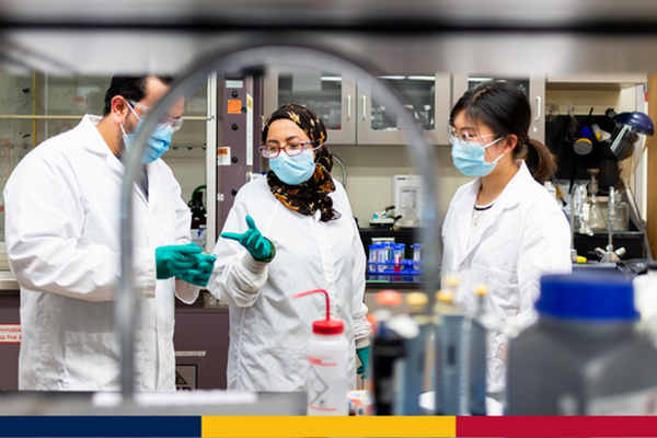 Image of graduate students engaged in research.