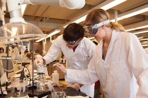 Undergraduate students perform an experiment
