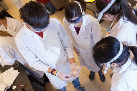 Undergraduate students examine findings
