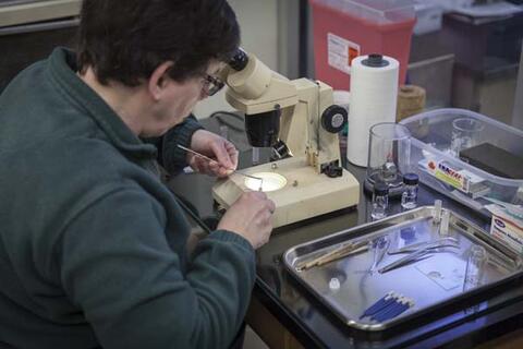 Inspection in the X-ray Crystallography Lab