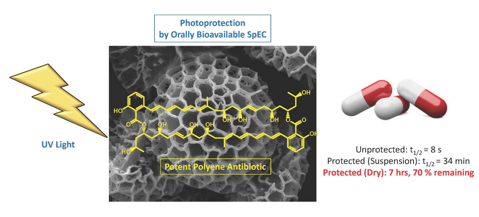 Photo Photoprotection by Orally Bioavailable SpEC